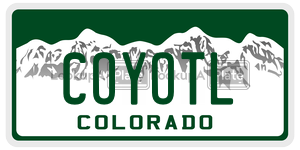 COYOTL  license plate in CO