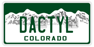 DACTYL  license plate in CO