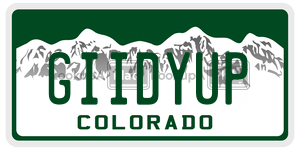 GIIDYUP  license plate in CO