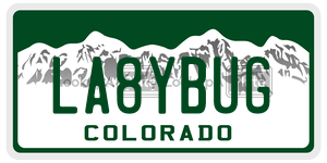 LA8YBUG  license plate in CO