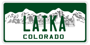 LAIKA  license plate in CO