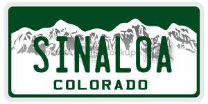 SINALOA  license plate in CO