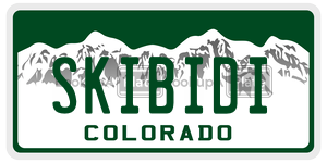 SKIBIDI license plate in Colorado