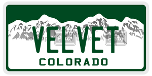 VELVET  license plate in CO
