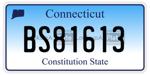 BS81613 license plate in Connecticut