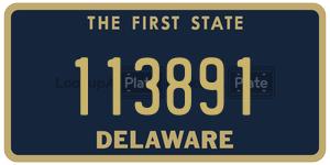 113891 license plate in Delaware