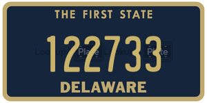 122733  license plate in DE