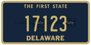 17123  license plate in DE