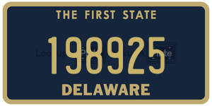 198925 license plate in Delaware