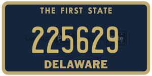 225629 license plate in Delaware