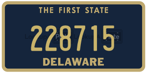 228715  license plate in DE