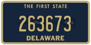 263673  license plate in DE