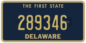 289346  license plate in DE
