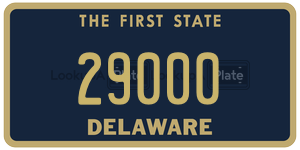 29000  license plate in DE