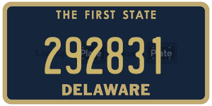 292831 license plate in Delaware