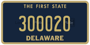 300020  license plate in DE