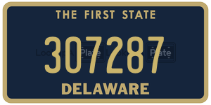 307287  license plate in DE