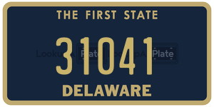31041 license plate in Delaware