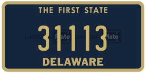 31113  license plate in DE