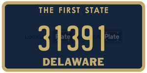 31391  license plate in DE