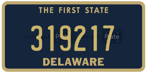 319217  license plate in DE