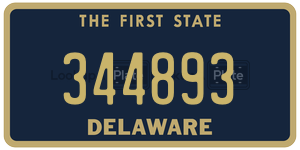 344893  license plate in DE