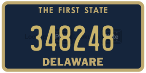 348248 license plate in Delaware