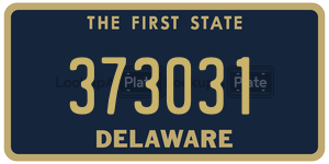 373031 license plate in Delaware