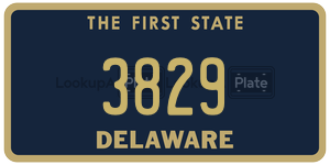 3829  license plate in DE