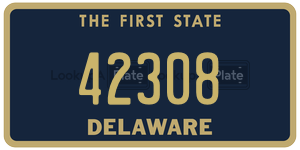 42308  license plate in DE
