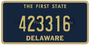 423316  license plate in DE