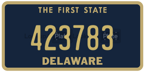 423783  license plate in DE