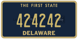 424242 license plate in Delaware
