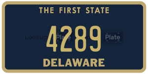 4289  license plate in DE