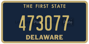 473077 license plate in Delaware