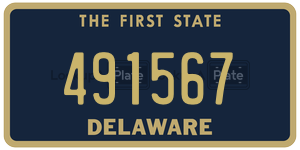 491567  license plate in DE