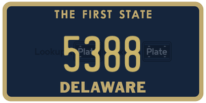 5388  license plate in DE