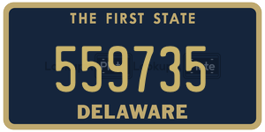 559735  license plate in DE