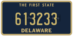 613233  license plate in DE