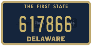 617866  license plate in DE