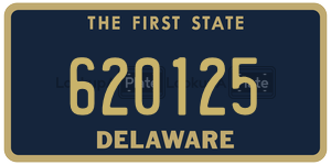 620125  license plate in DE