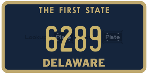 6289  license plate in DE