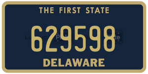 629598  license plate in DE