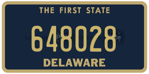 648028  license plate in DE