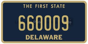 660009  license plate in DE