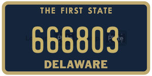 666803  license plate in DE
