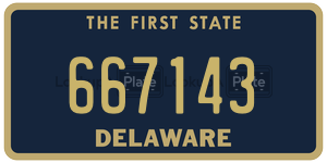 667143  license plate in DE