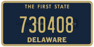 730408 license plate in Delaware