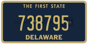 738795  license plate in DE