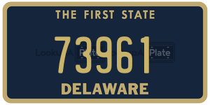 73961  license plate in DE